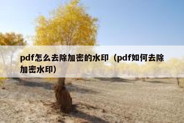 pdf怎么去除加密的水印（pdf如何去除加密水印）