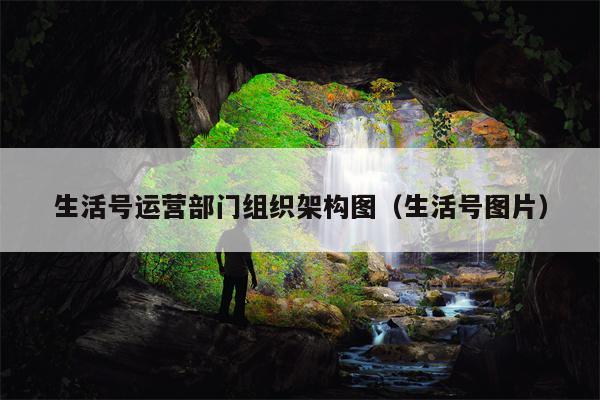 生活号运营部门组织架构图（生活号图片）