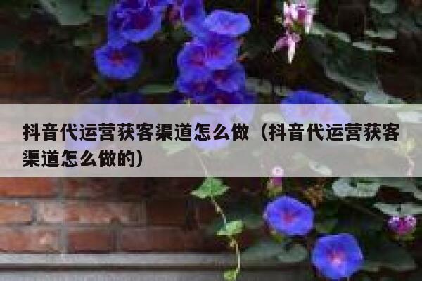 抖音代运营获客渠道怎么做（抖音代运营获客渠道怎么做的）