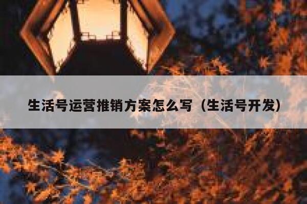 生活号运营推销方案怎么写（生活号开发）