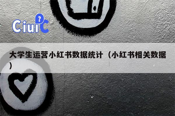 大学生运营小红书数据统计（小红书相关数据）