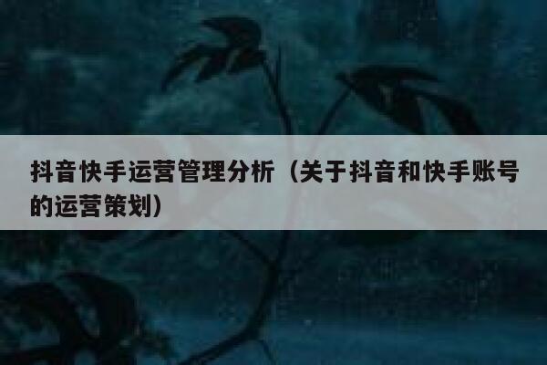 抖音快手运营管理分析（关于抖音和快手账号的运营策划）