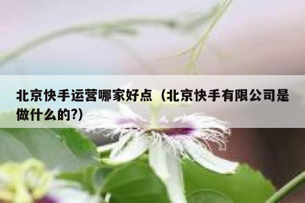 北京快手运营哪家好点（北京快手有限公司是做什么的?）