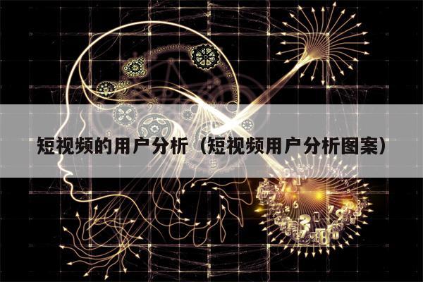 短视频的用户分析（短视频用户分析图案）