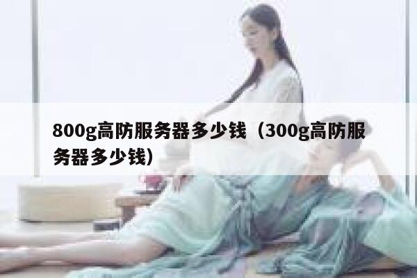 800g高防服务器多少钱（300g高防服务器多少钱）