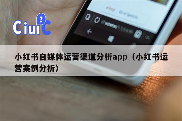 小红书自媒体运营渠道分析app（小红书运营案例分析）